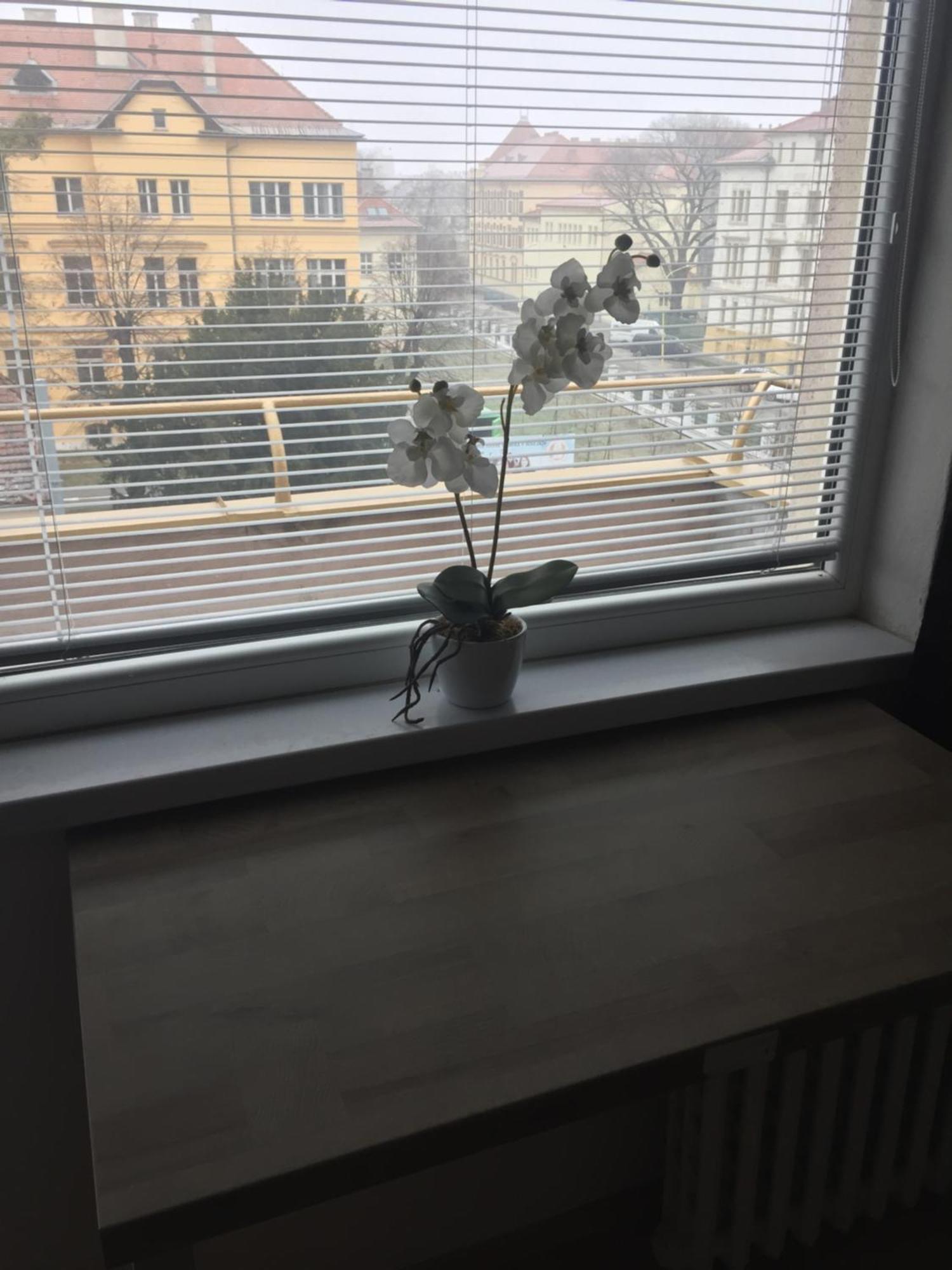 Old Town And Sightseeing Studio Кошице Экстерьер фото